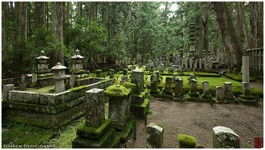Tombstones in a clearing of the Okunoin forest cemetery, Koya-san, Japan