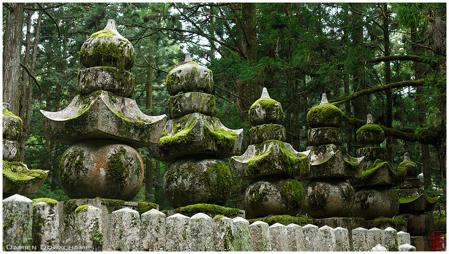Old massive and moss-covered grave stones in the forest cemetery of Okunoin, Koyasan, Japan