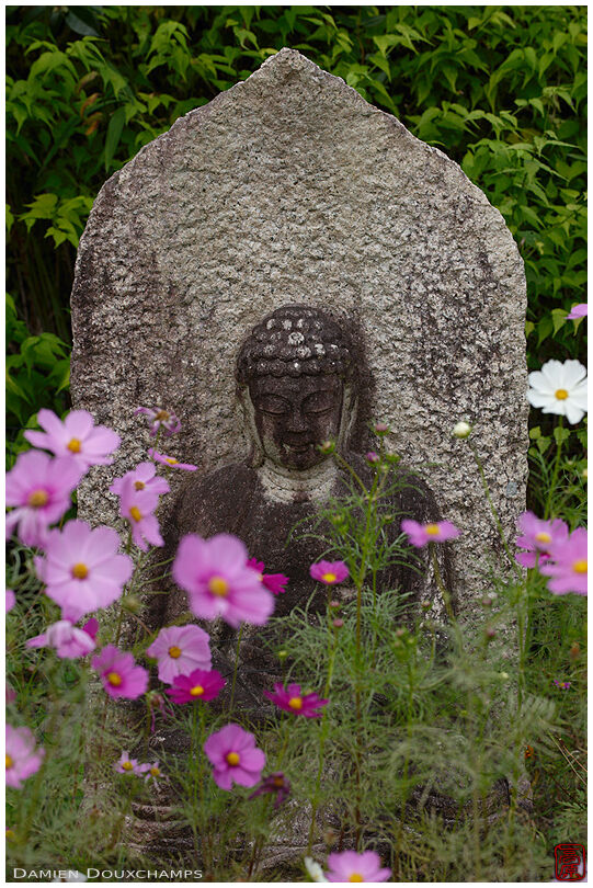 Buddha statue and cosmo flowers, Hannya-ji temple, Nara, Japan