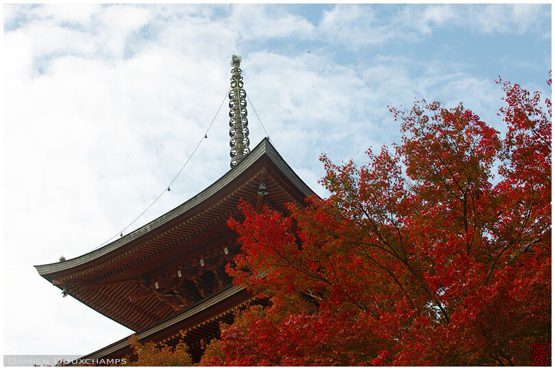 Red pagoda and red maple trees in Sanmyo-in temple, Kyoto, Japan