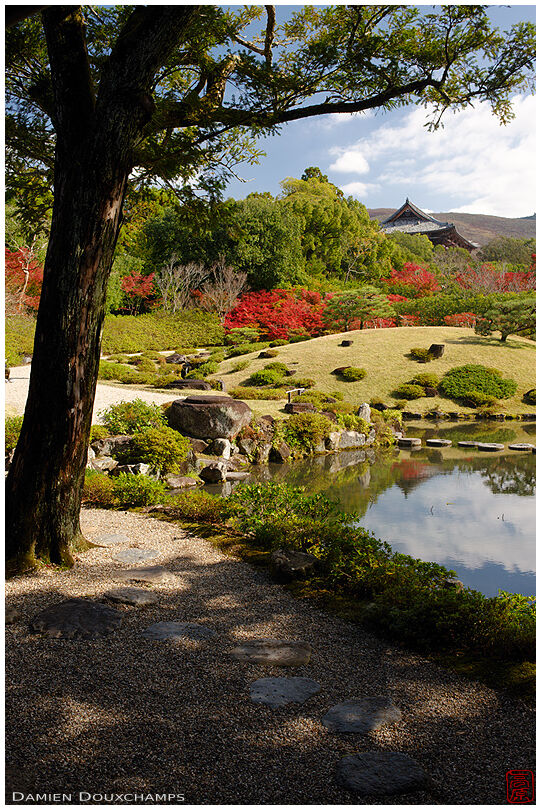 Sprinkle of autumn colours in the pond garden of Isui-en, Nara, Japan