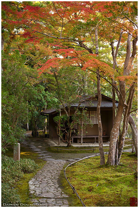 Tea house in the Isui-en garden, Nara, Japan
