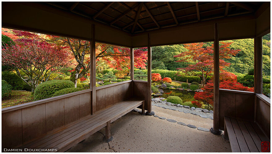 Autumn colours from a small viewing pavilion of Mimuroto-ji temple, Kyoto, Japan