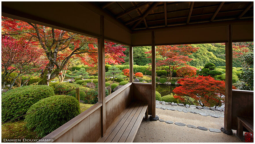 Perfect autumn colours from a small pavilion in Mimuroto-ji temple gardens, Kyoto, Japan