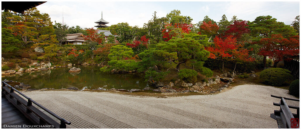 Ninna-ji temple pond garden in autumn, Kyoto, Japan