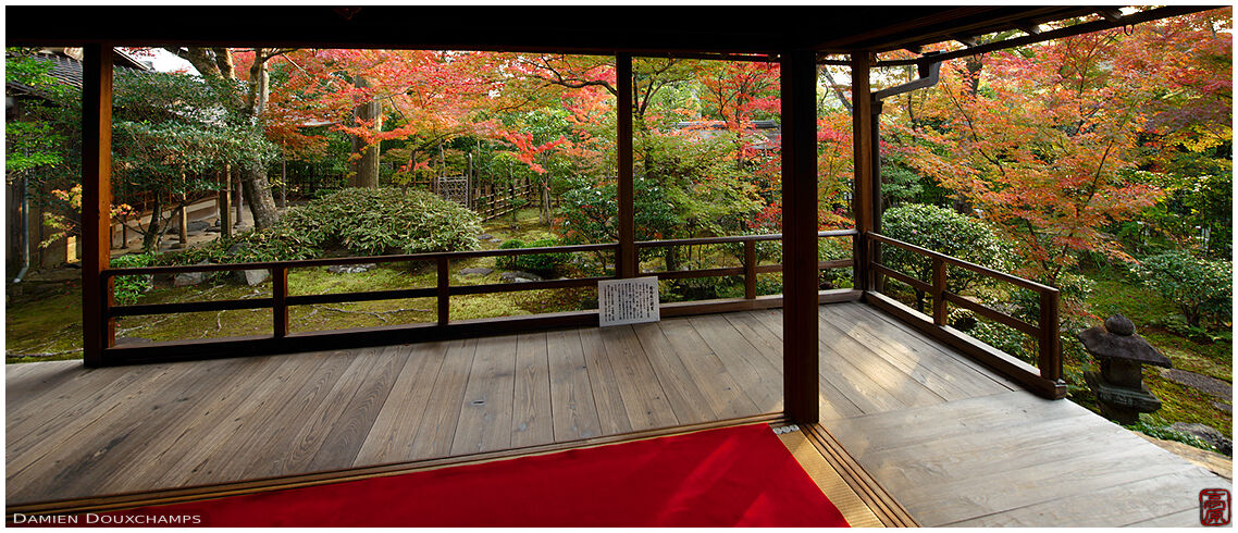 Late afternoon light in Daiho-in temple, Kyoto, Japan