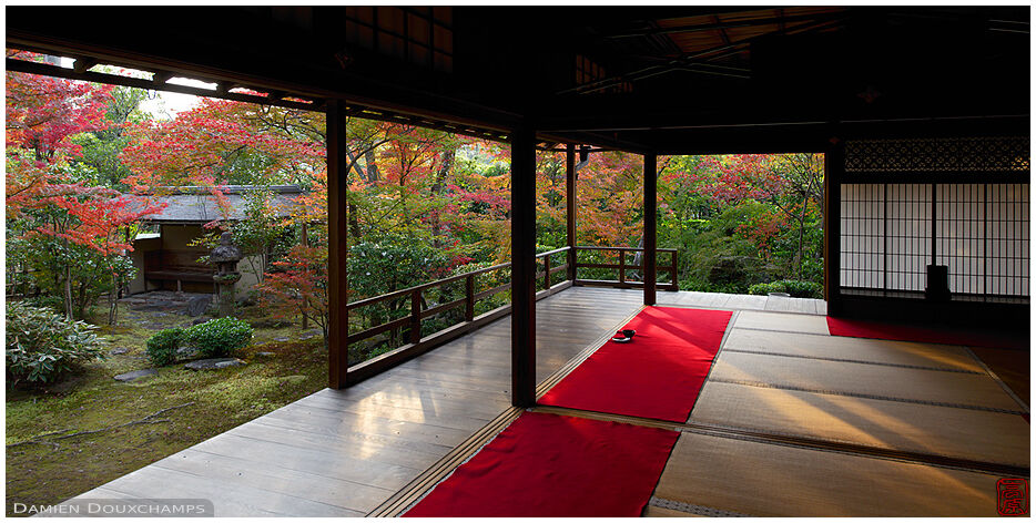 Autumn colours and evening light on the main hall and garden of Daiho-in temple, Kyoto, Japan
