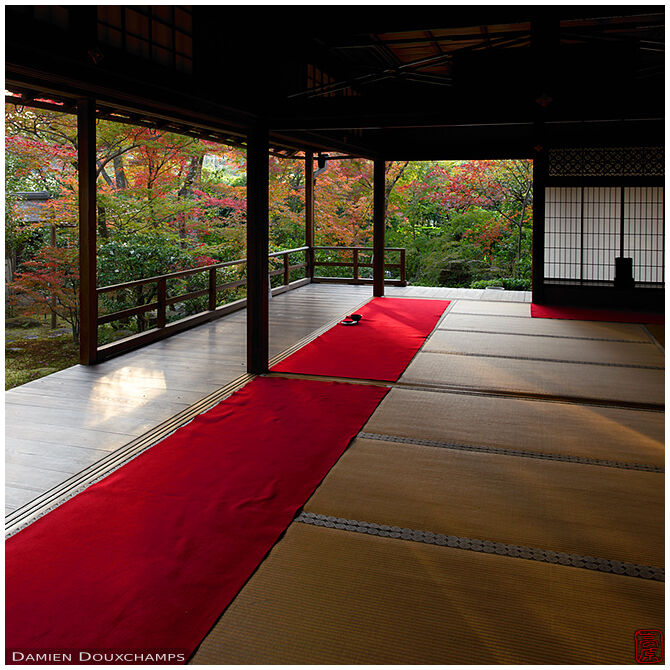 Room with view on garden and autumn colours, Daiho-in temple, Kyoto, Japan