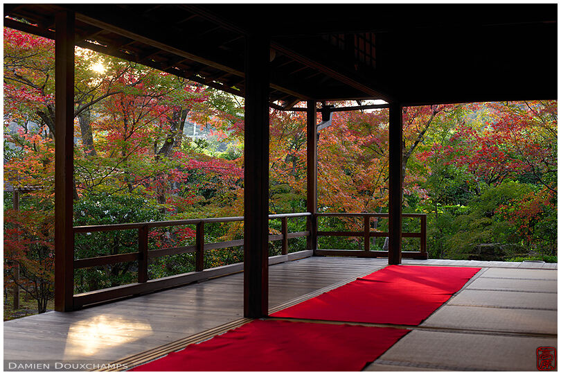 Autumn foliage from the hall of Daiho-in temple, Kyoto, Japan