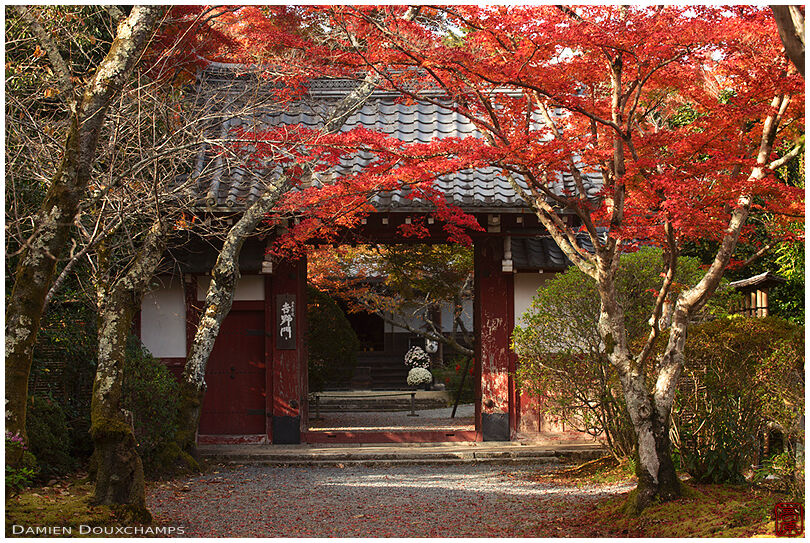 Entrance gate of Joshoi-ji temple in autumn, Kyoto, Japan