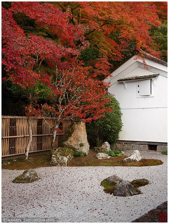 Red maple over zen garden and kura, Nanzen-ji temple gardens, Kyoto, Japan