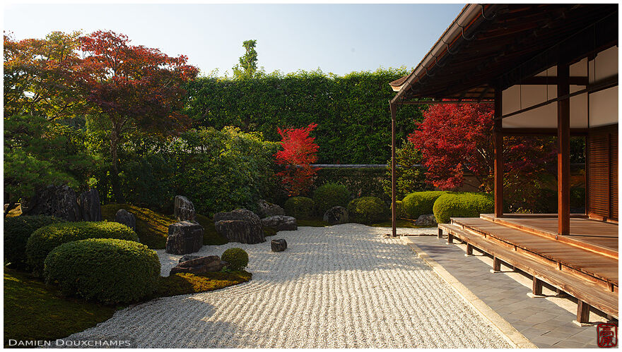 Warm sunlight on a cold autumn day in the rock garden of Korin-in temple, Kyoto, Japan