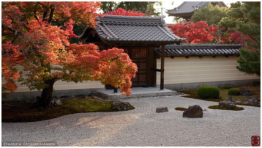 Last light on the rock garden of Toji-in temple, Kyoto, Japan