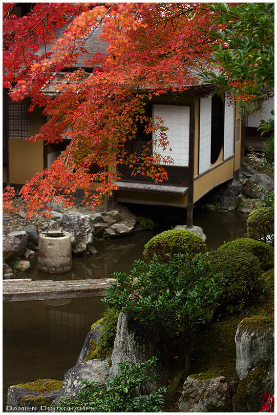Pond garden and autumn colours around a tea house in Sanpo-in temple, Kyoto, Japan