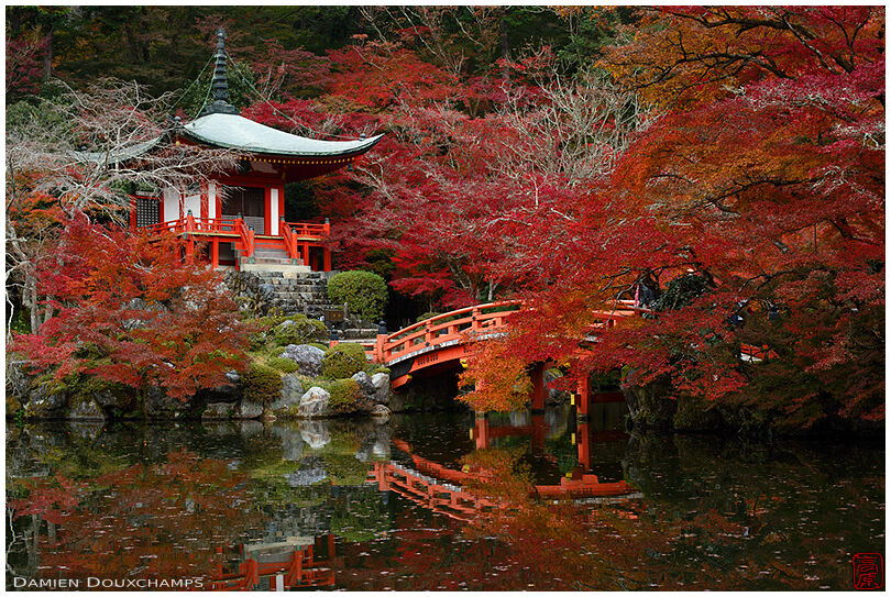 Autumn colors on the pond of Daigo-ji temple, Kyoto, Japan