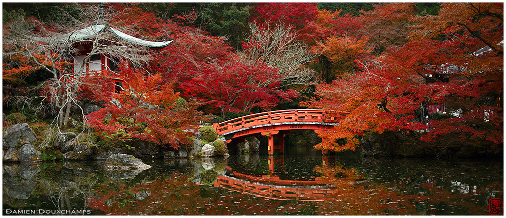 Pond and red autumn colours surrounding the Bentendo hall of Daigo-ji temple, Kyoto, Japan