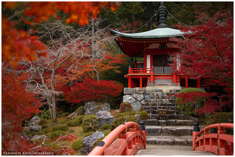 Bright autumn colours around the Bentendo hall of Daigo-ji temple, Kyoto, Japan
