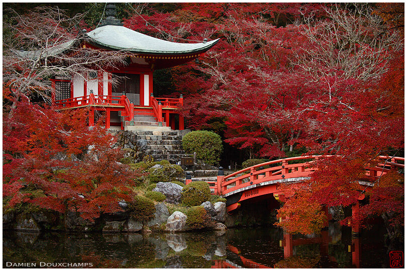 Red Bentendo hall, red bridge and red autumn colors in Daigo-ji temple, Kyoto, Japan