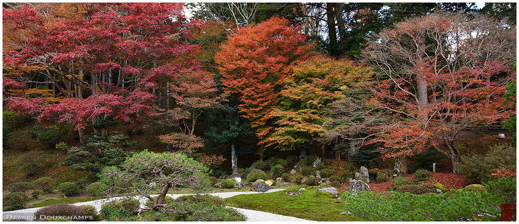 Late fall foliage around zen garden in Manshuin Monseki temple, Kyoto, Japan