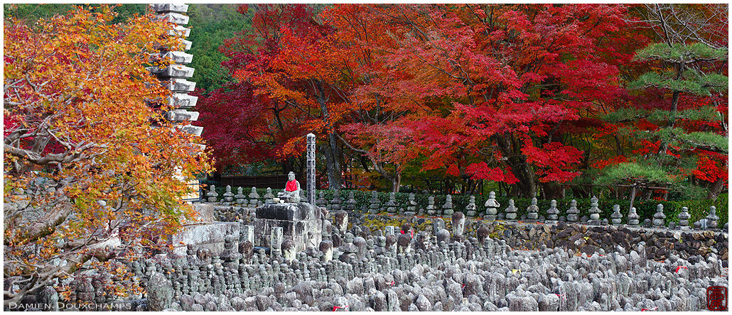 Cemetery surrounded by autumn colors, Adashino Nenbutsu-ji temple, Kyoto, Japan