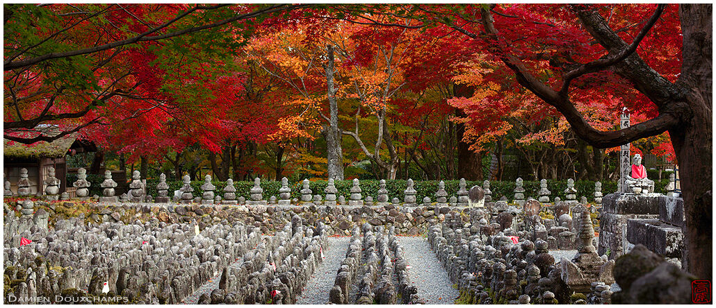 Autumn colours over garden of stones, Adashino Nenbutsu-ji temple, Kyoto, Japan