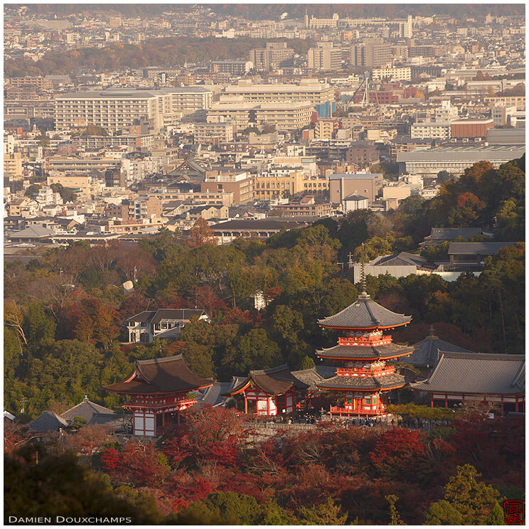 Early morning on Kiyomizu-dera temple pagoda, overlooking Kyoto, Japan