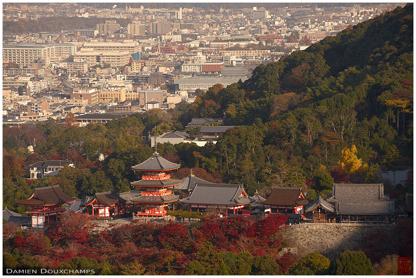 Early morning and rare top view of Kiyomizudera temple, Kyoto, Japan