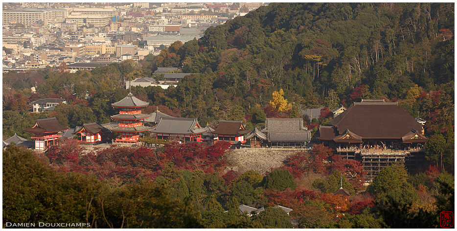 The Kiyomizu-dera temple complex seen from a neighbouring mountain, Kyoto, Japan