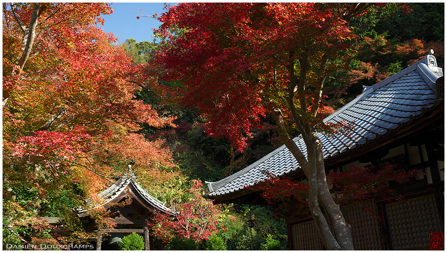 Temple belfry and autumn colours, Seikan-ji, Kyoto, Japan