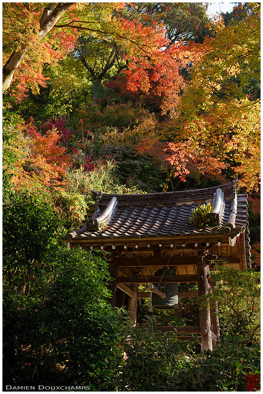 Seikan-ji belfry in autumn, Kyoto, Japan