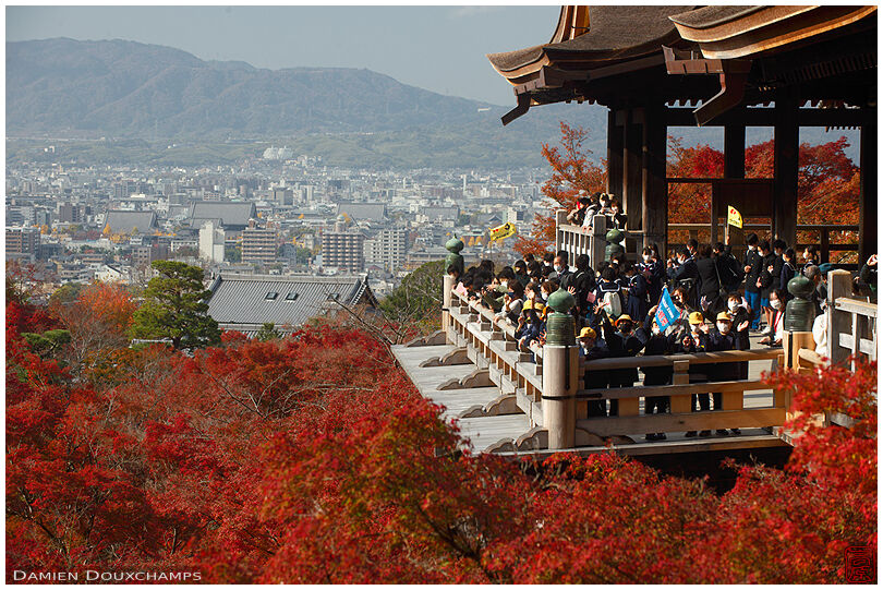Busy day with numerous school kids on the terrace of Kiyomizu temple, Kyoto, Japan