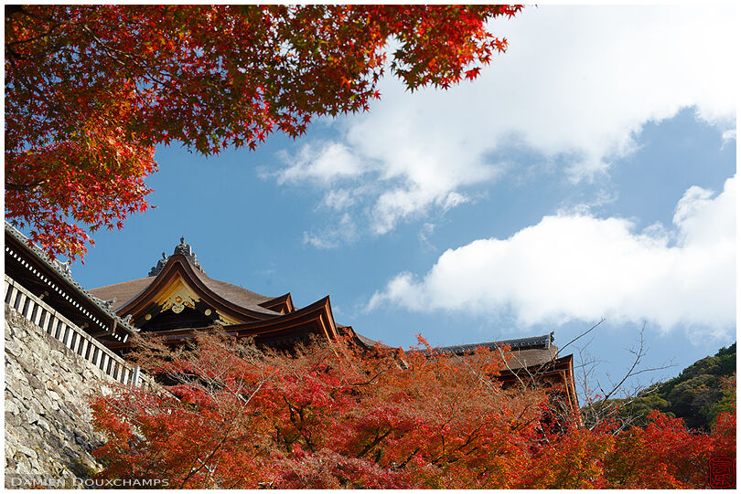 The new roof of Kiyomizu temple in autumn, Kyoto, Japan