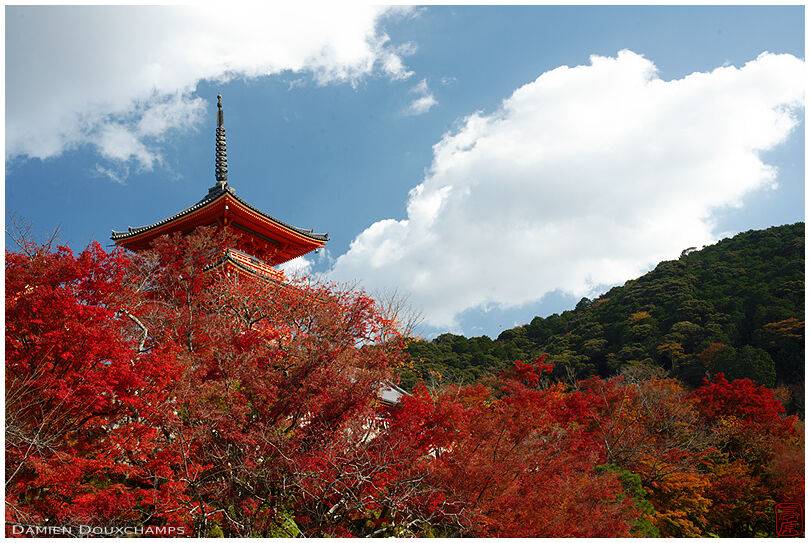 Autumns colors around the pagoda of Kiyomizudera temple in Kyoto, Japan