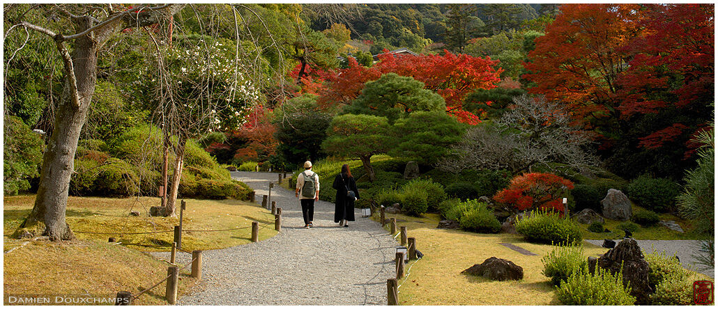 Couple strolling in Yuzen-en garden during autumn, Kyoto, Japan