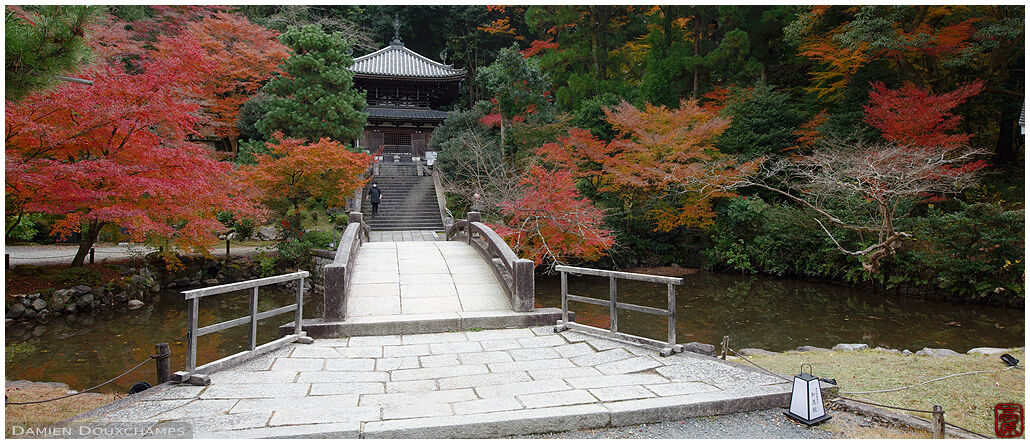 Autumn colours over a small pond in the large Chion-in temple complex in Kyoto, Japan