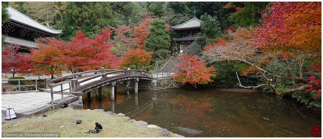 Pond surrounded by autumn colours in Chion-in temple, Kyoto, Japan