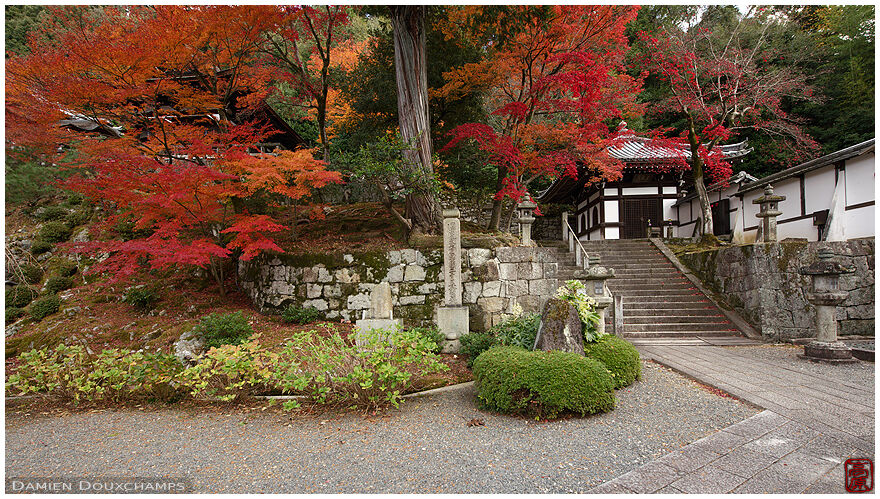Autumn colors in a quiet corner of Chion-in temple, Kyoto, Japan