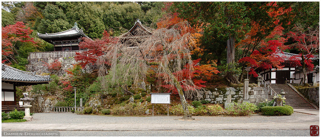 A collection of smaller halls among autumn colors, Chion-in temple, Kyoto, Japan