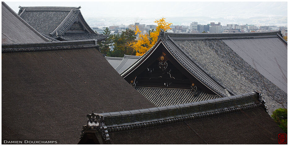 Roof lines of the many large halls in the Chion-in temple complex, Kyoto, Japan