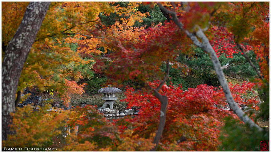 Small stone lantern lost amidst autumn colours, Maruyama-koen, Kyoto, Japan
