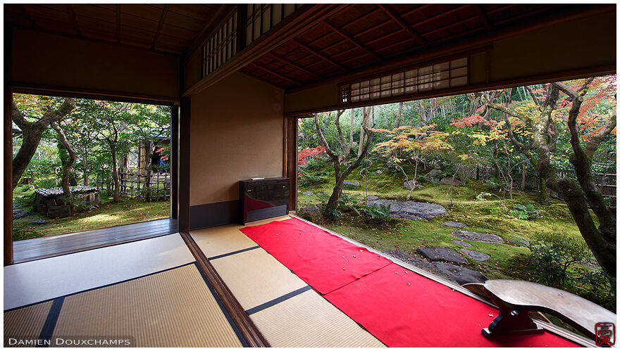 Korin-in temple main room with view on moss garden and autumn foliage, Kyoto, Japan