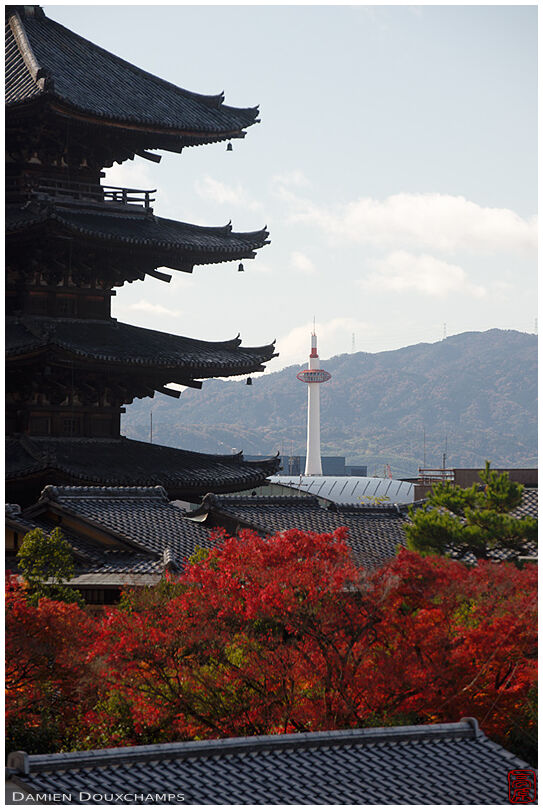 Hokan-ji temple pagoda, red autumn foliage and Kyoto tower, Japan