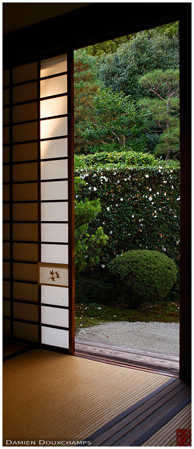 White camellia, Funda-in temple, Kyoto, Japan