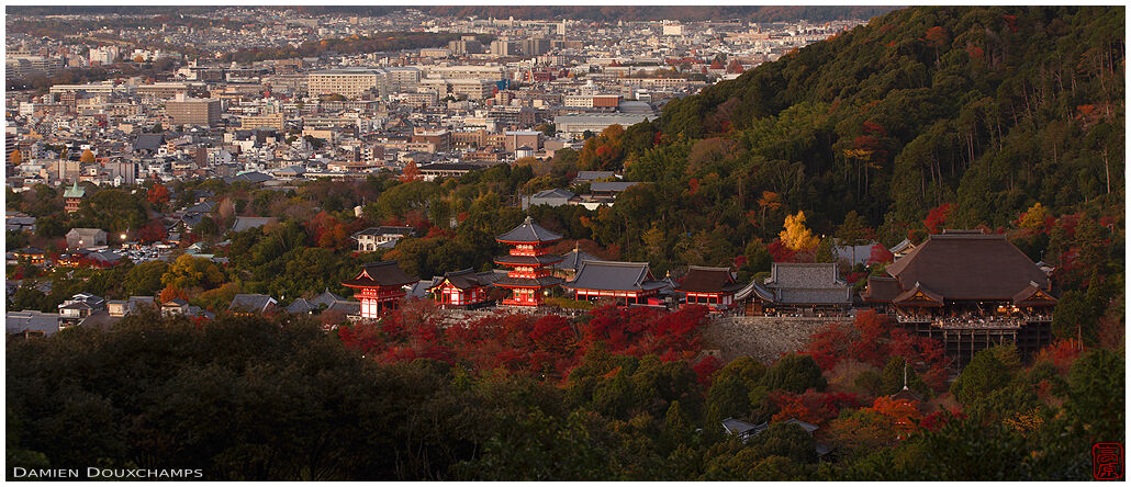 Aerial evening view of Kiyomizu-dera temple in autumn, Kyoto, Japan