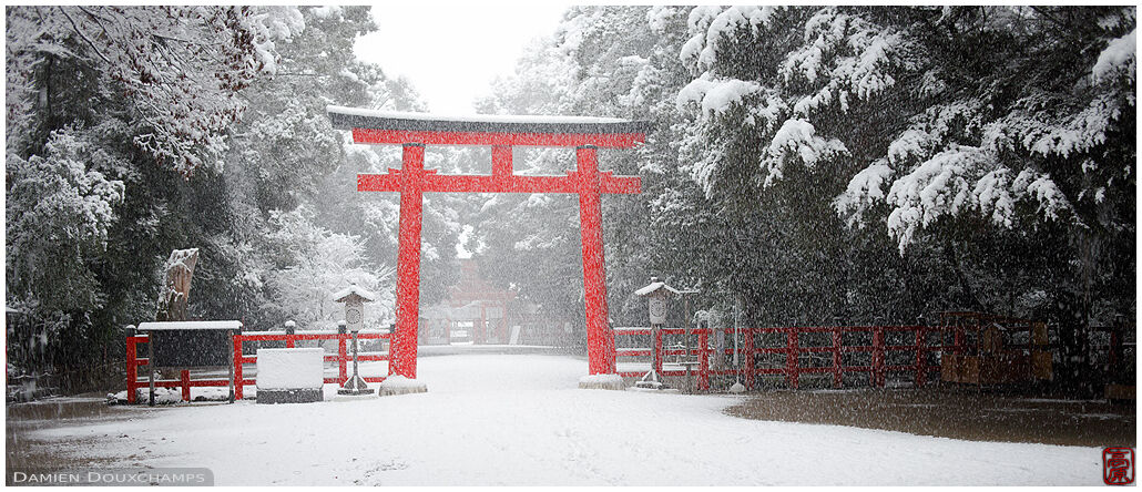Heavy snow on the entrance torii gate of Shimogamo shrine, Kyoto, Japan