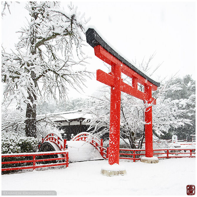 Large red torii gate during a snow storm in Shimogamo shrine, Kyoto, Japan