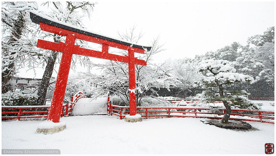 Red bridge and torii gate covered with snow in Shimogamo-jinja shrine, Kyoto, Japan