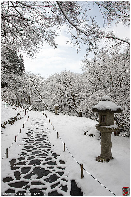 Beautifully patterned path on a winter day in Hakuryu-en garden, Kyoto, Japan