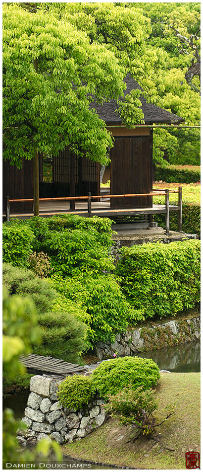 Thatched roof pavilion lost in lush green vegetation in the garden of the Katsura imperial villa, Kyoto, Japan