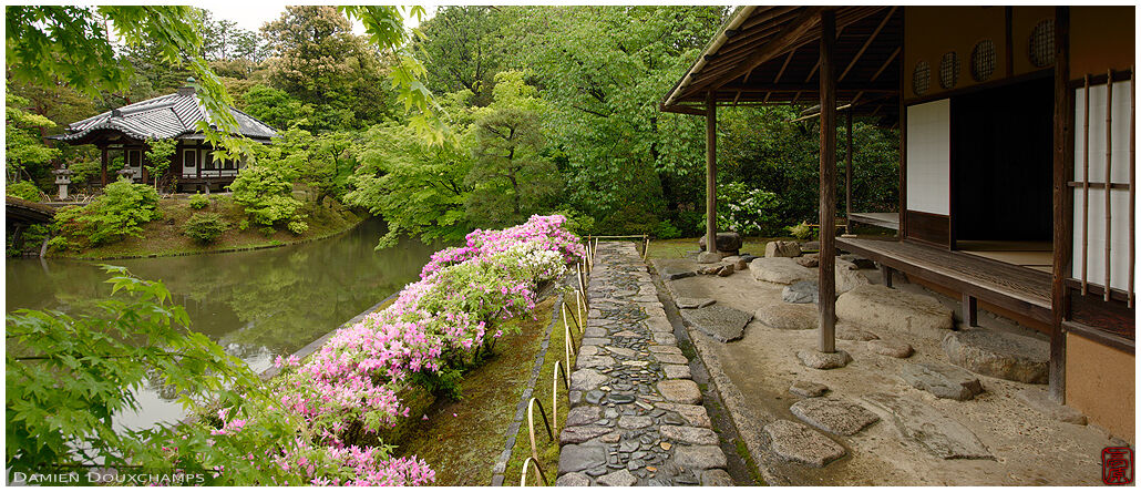 Two pavilions of the Katsura imperial villa during tsutsuji rhododendron season, Kyoto, Japan